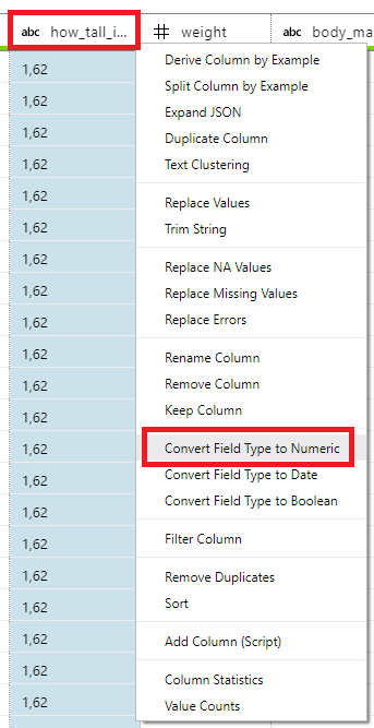 Convert Field Type to Numeric